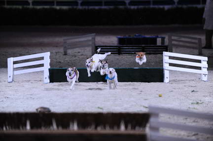 10-24-08-WIHS-1113-DeRosaPhoto.jpg