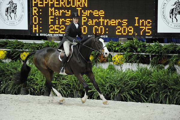 WIHS-10-20-09-DSC_1134-Peppercorn-MaryTyree-DDeRosaPhoto.jpg