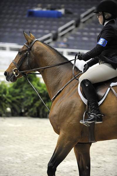 WIHS-10-22-09-DSC_5080-Falcao-AshleyPryde-SmJrHtr16-17-DDeRosaPhoto.jpg