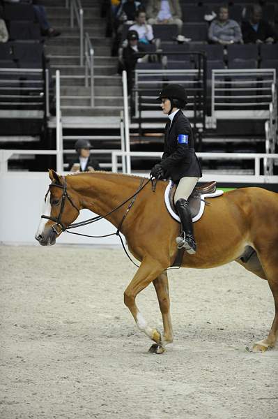 WIHS-10-22-09-DSC_5269-Tiziano-JessicaSpringsteen-LgJrHtr16-17-DDeRosaPhoto.jpg