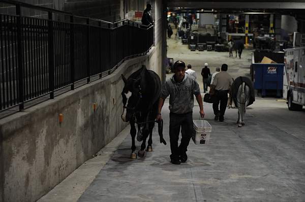 WIHS-10-24-09-DSC_8997-AroundGroundsInside-DDeRosaPhoto.jpg
