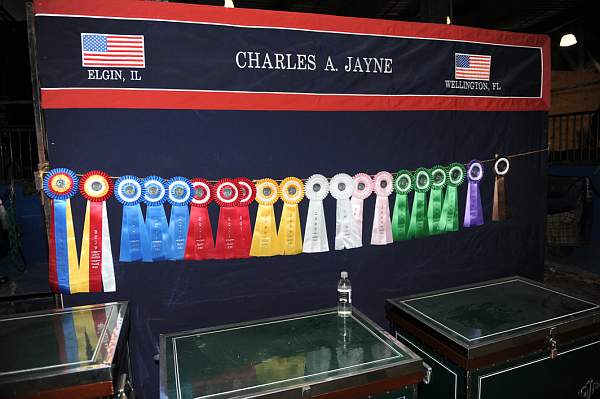 WIHS-10-24-10-DSC_8926-AroundGrounds-Indoors-DDeRosaPhoto.jpg
