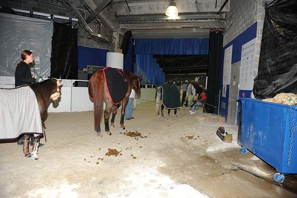 WIHS-10-24-10-DSC_8927-AroundGrounds-Indoors-DDeRosaPhoto.jpg