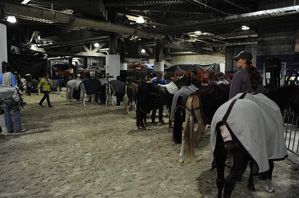 WIHS-10-24-10-DSC_9010-AroundGrounds-Indoors-DDeRosaPhoto.jpg