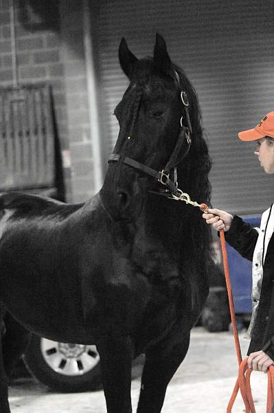 WIHS-10-25-09-DSC_2694-AroundGrounds-Indoors-DDeRosaPhoto.jpg