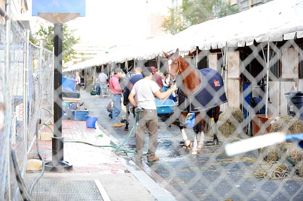 WIHS-10-20-09-DSC_0503-AroundGrounds-Outside-DDeRosaPhoto.jpg