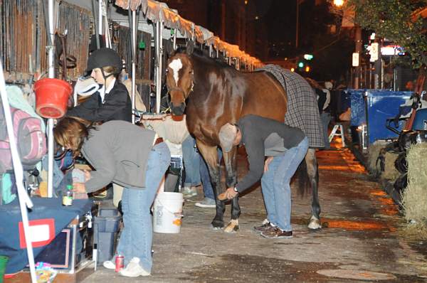 WIHS-10-22-09-DSC_017-AroundGrounds-Outdoors-DDeRosaPhoto.jpg