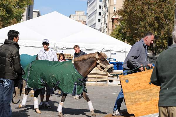 WIHS-10-25-09-DSC_2642-AroundGrounds-Outdoors-DDeRosaPhoto.jpg