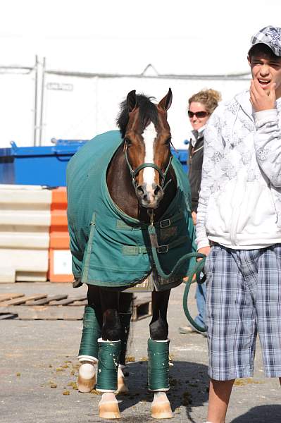 WIHS-10-25-09-DSC_2659-AroundGrounds-Outdoors-DDeRosaPhoto.jpg