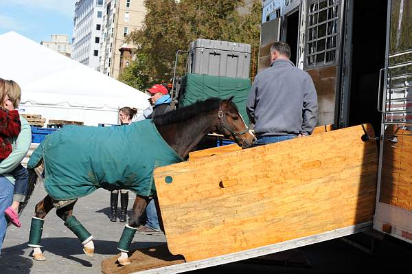 WIHS-10-25-09-DSC_2662-AroundGrounds-Outdoors-DDeRosaPhoto.jpg