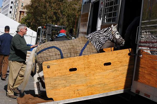 WIHS-10-25-09-DSC_2676-AroundGrounds-Outdoors-DDeRosaPhoto.jpg