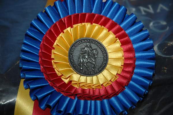 WIHS-10-23-09-DSC_0011-Awards-DDeRosaPhoto.jpg
