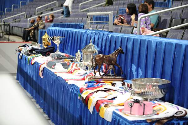 WIHS-10-24-09-DER_7929-Awards-DDeRosaPhoto.jpg