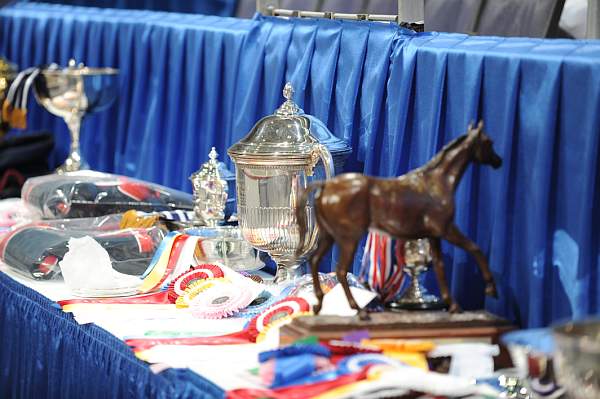 WIHS-10-24-09-DER_7931-Awards-DDeRosaPhoto.jpg