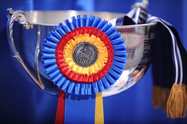 WIHS-10-24-09-DER_8175-Awards-DDeRosaPhoto.jpg