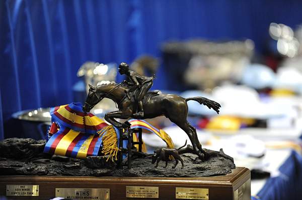 WIHS-10-25-09-DSC_1588-Awards-DDeRosaPhoto.jpg