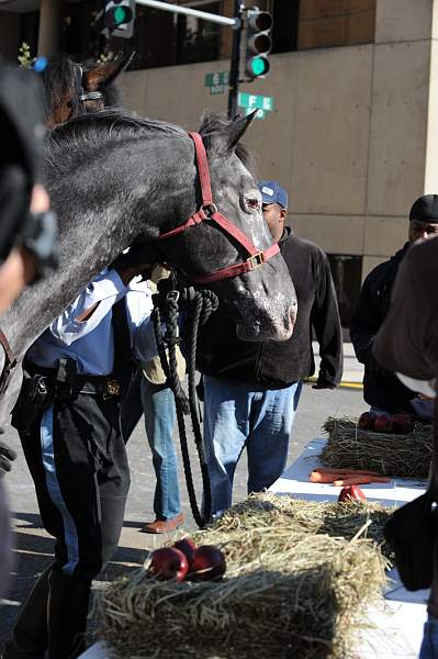 WIHS-10-21-09-DSC_1948-BreakfastwithParkPolice-DDeRosaPhoto.jpg