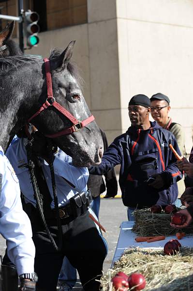 WIHS-10-21-09-DSC_1956-BreakfastwithParkPolice-DDeRosaPhoto.jpg