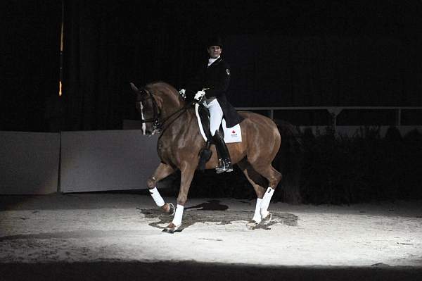 WIHS-10-22-09-DSC_6823-AshleyHolzer-PopArt-Dressage-DDeRosaPhoto.jpg