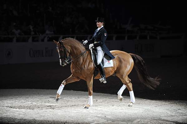 WIHS-10-23-09-DER_7319-AshleyHolzer-PopArt-Dressage-DDeRosaPhoto.jpg