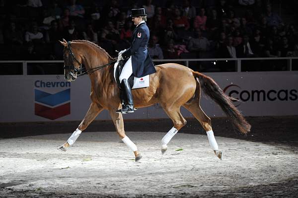 WIHS-10-23-09-DER_7326-AshleyHolzer-PopArt-Dressage-DDeRosaPhoto.jpg