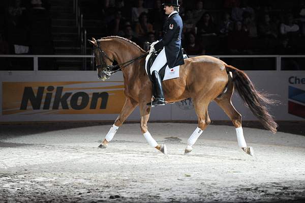 WIHS-10-23-09-DER_7328-AshleyHolzer-PopArt-Dressage-DDeRosaPhoto.jpg