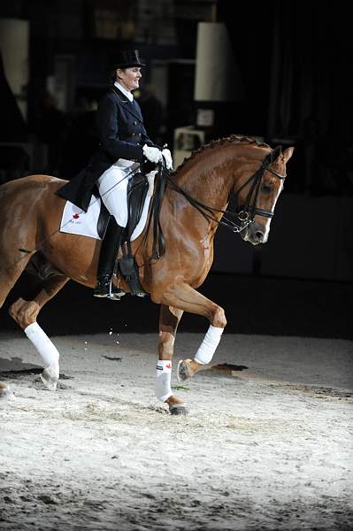WIHS-10-23-09-DER_7329-AshleyHolzer-PopArt-Dressage-DDeRosaPhoto.jpg