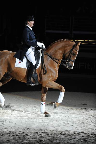 WIHS-10-23-09-DER_7331-AshleyHolzer-PopArt-Dressage-DDeRosaPhoto.jpg