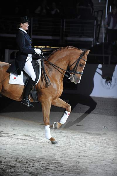 WIHS-10-23-09-DER_7332-AshleyHolzer-PopArt-Dressage-DDeRosaPhoto.jpg