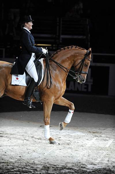 WIHS-10-23-09-DER_7334-AshleyHolzer-PopArt-Dressage-DDeRosaPhoto.jpg