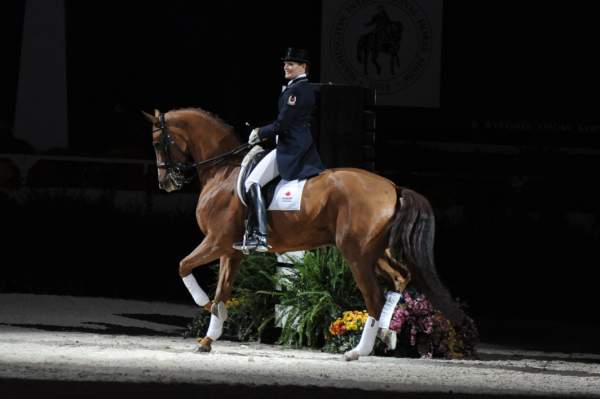 WIHS-10-23-09-DER_7357-AshleyHolzer-PopArt-Dressage-DDeRosaPhoto.jpg