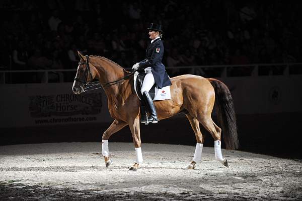 WIHS-10-23-09-DER_7384-AshleyHolzer-PopArt-Dressage-DDeRosaPhoto.jpg