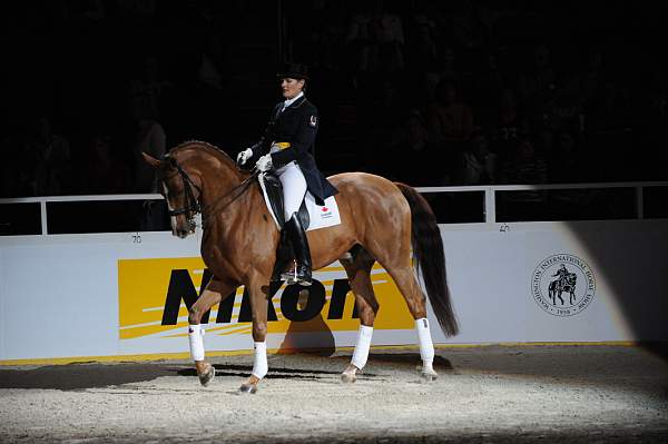 WIHS-10-23-09-DER_7386--AshleyHolzer-PopArt-Dressage-DDeRosaPhoto.jpg