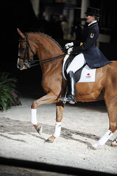 WIHS-10-23-09-DER_7396--AshleyHolzer-PopArt-Dressage-DDeRosaPhoto.jpg