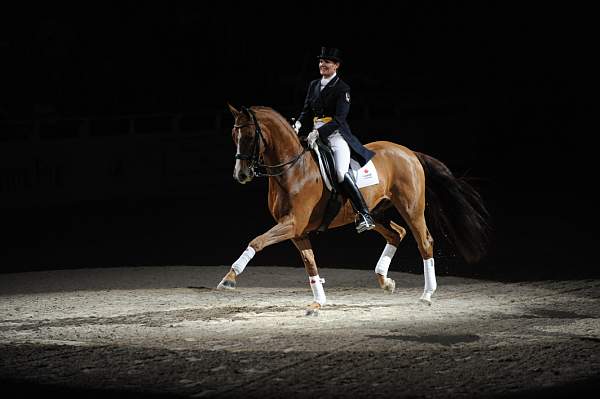 WIHS-10-23-09-DER_7443-AshleyHolzer-PopArt-Dressage-DDeRosaPhoto.jpg