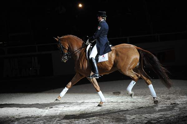 WIHS-10-23-09-DER_7459-AshleyHolzer-PopArt-Dressage-DDeRosaPhoto.jpg