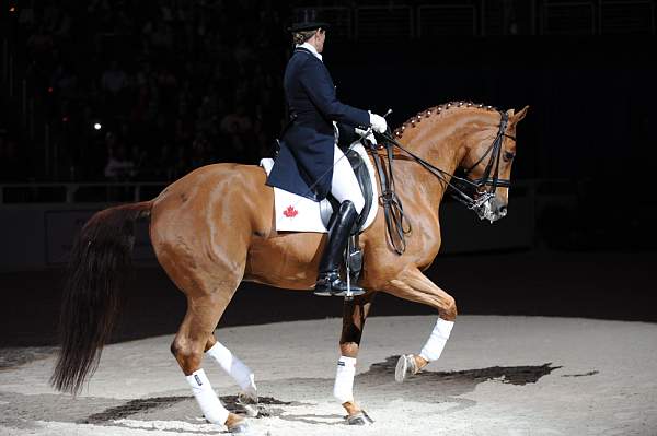 WIHS-10-24-09-DSC_0655-AshleyHolzer-PopArt-Dressage-DDeRosaPhoto.jpg