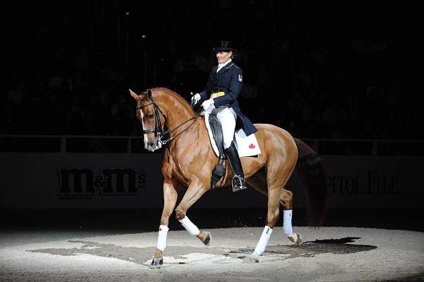 WIHS-10-24-09-DSC_0658-AshleyHolzer-PopArt-Dressage-DDeRosaPhoto.jpg