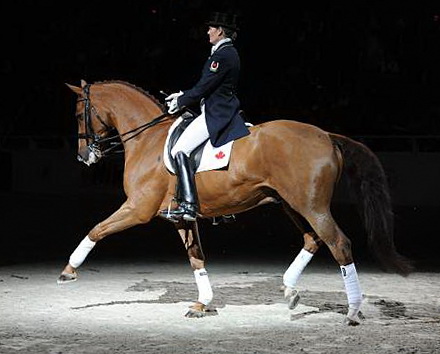 WIHS-10-24-09-DSC_0661-AshleyHolzer-PopArt-Dressage-DDeRosaPhoto.jpg