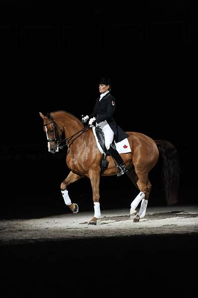 WIHS-10-24-09-DSC_0723-AshleyHolzer-PopArt-Dressage-DDeRosaPhoto.jpg