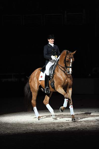 WIHS-10-24-09-DSC_0730-AshleyHolzer-PopArt-Dressage-DDeRosaPhoto.jpg