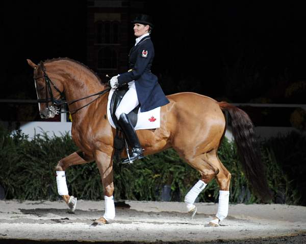 WIHS-10-25-09-DSC_3822-AshleyHolzer-PopArt-Dressage-DDeRosaPhoto.jpg