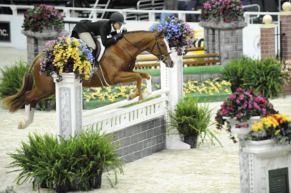 WIHS-10-21-09-DSC_1285-Hunters-Quintessential-WinnAlden-DDeRosaPhoto.jpg