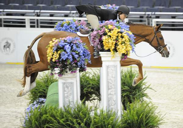 WIHS-10-21-09-DSC_1286-Hunters-Quintessential-WinnAlden-DDeRosaPhoto.jpg