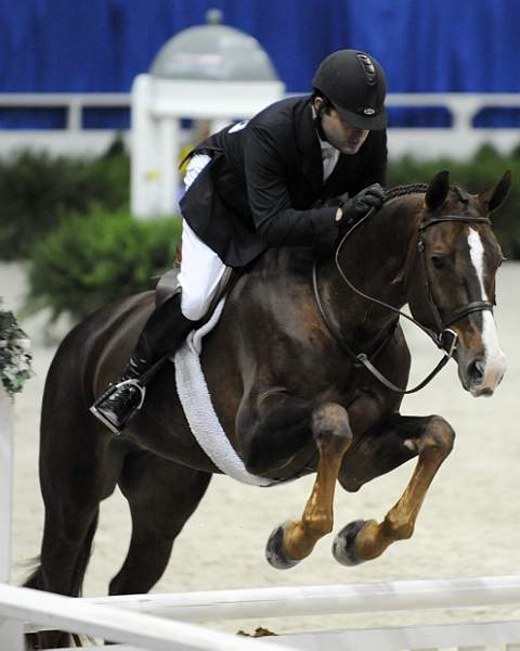 WIHS-10-21-09-DSC_2693-Andiamo-BradWolf-Hunters-DDeRosaPhoto.jpg