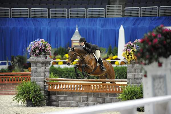 WIHS-10-23-09-DSC_7449-Bentley-BrouganBrown-Hunters-DDeRosaPhoto.jpg