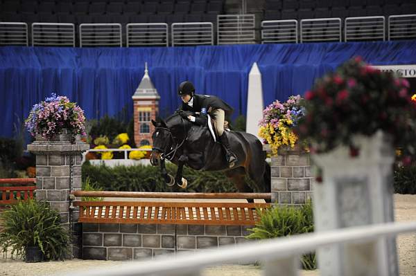 WIHS-10-23-09-DSC_7500-Peregrine-AdeleNorton-Hunters-DDeRosaPhoto.jpg