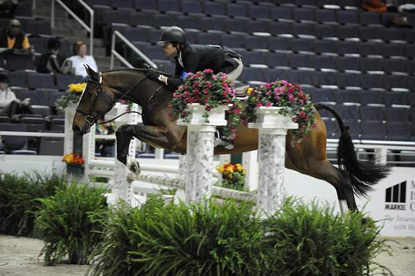 WIHS-10-23-09-DSC_7724-Showgirl-ChaseBoggio-Hunters-DDeRosaPhoto.jpg