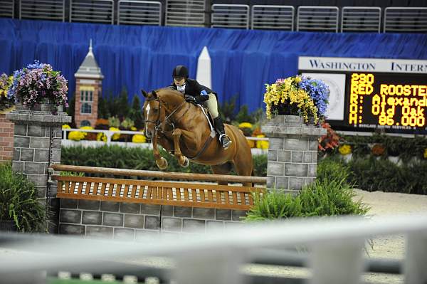 WIHS-10-23-09-DSC_7928-RedRooster-LucyDavis-Hunters-DDeRosaPhoto.jpg