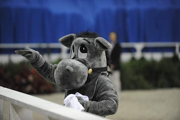 WIHS-10-23-09-DER_7223-Mascot-DDeRosaPhoto.jpg